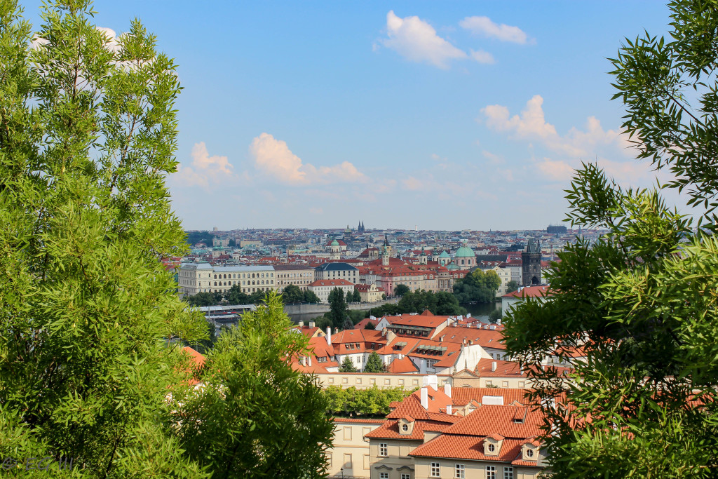 View from Prague Castle