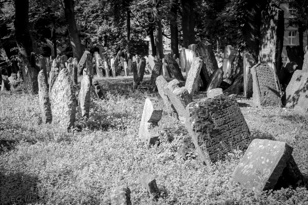 Jewish cemetary