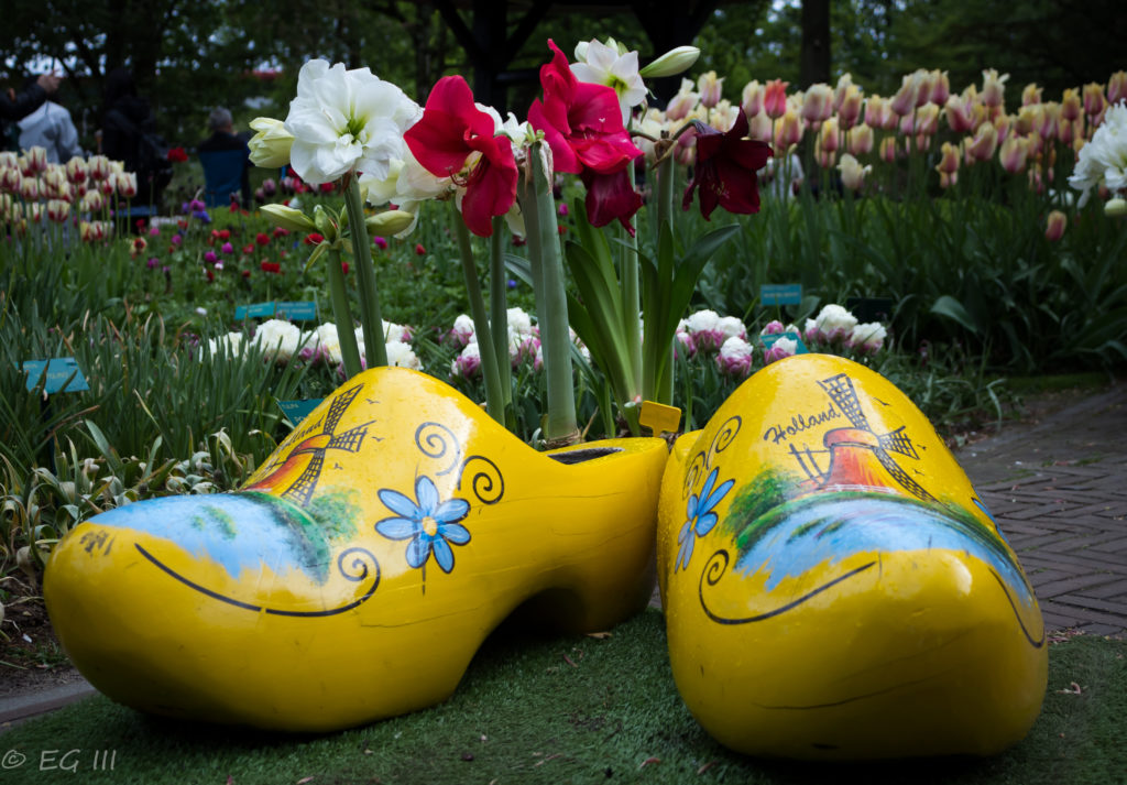 Big Shoes in Amsterdam