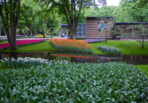 Keukenhof