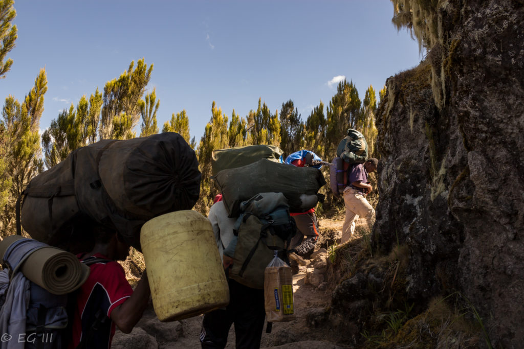 Kilimanjaro day two: keeping pace with the porters