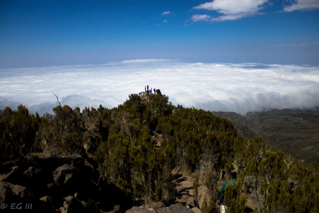 Kilimanjaro day two in the clouds