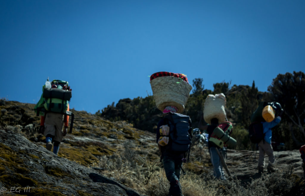 Kilimanjaro day two: keeping pace with the porters