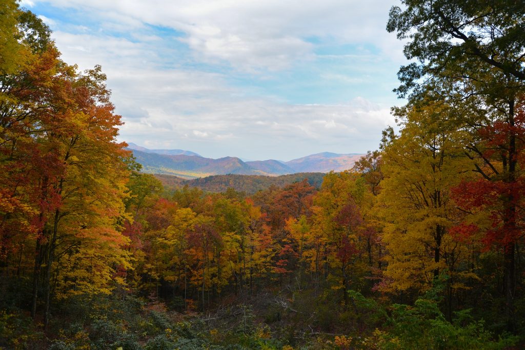 Smoky Mountains