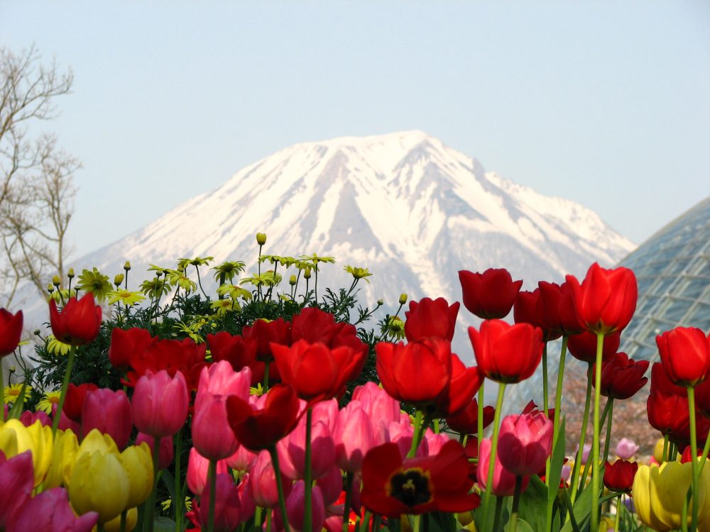Nature's beauty of Mt Daisen