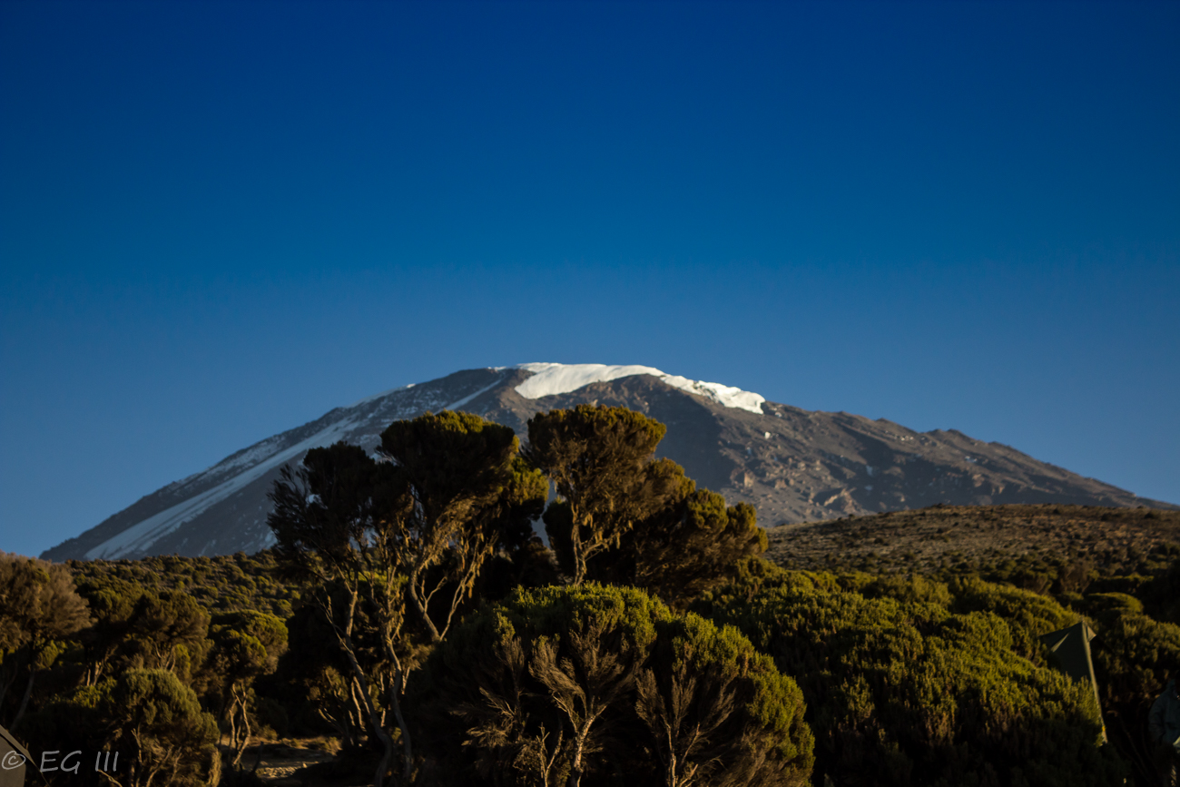 The Kilimanjaro summit in the distance