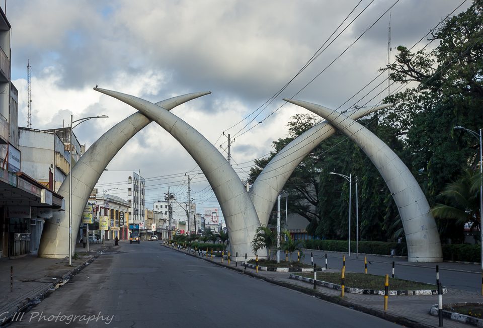 Things to do in Mombasa: Elephant tusks