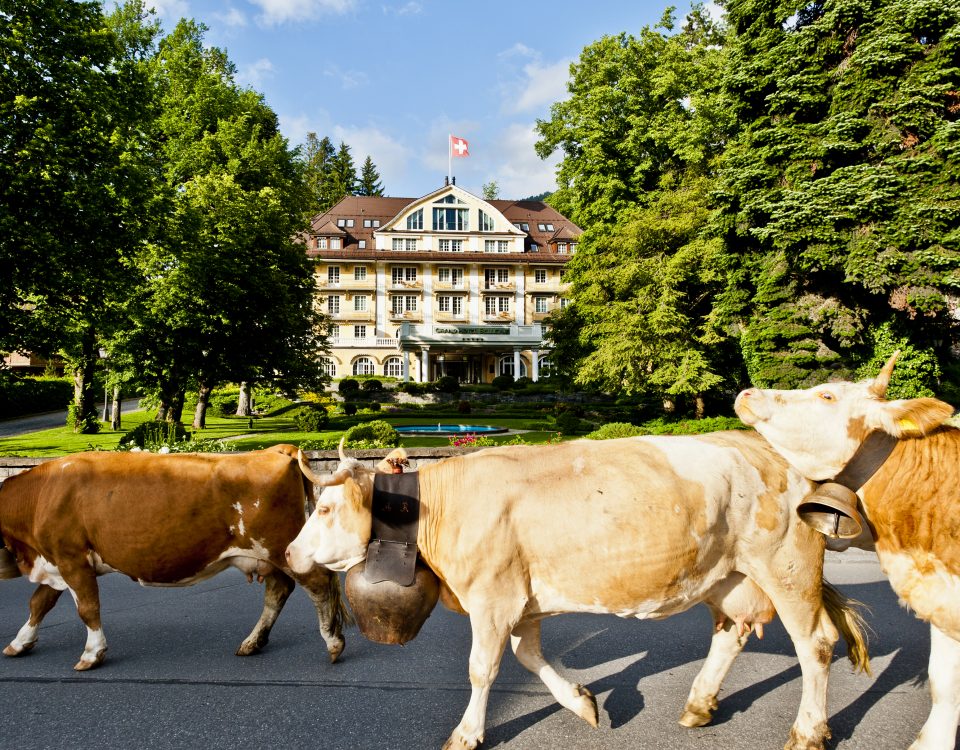 Le Grand Bellevue Hotel