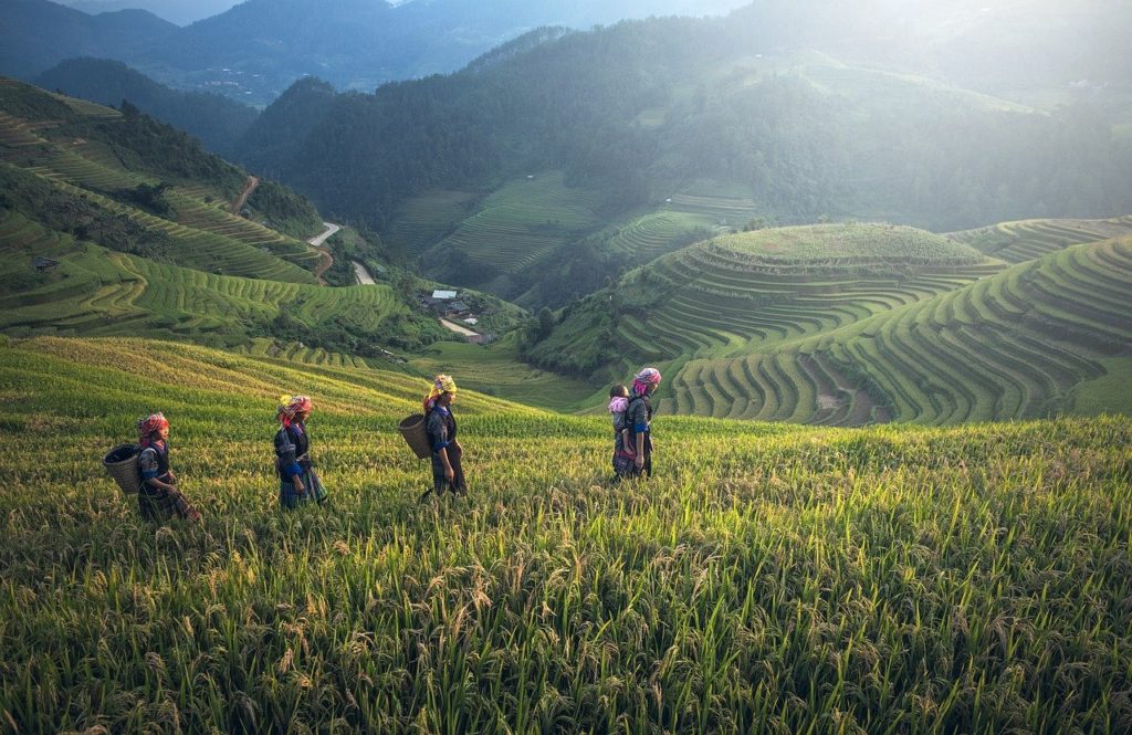 The often Overlooked Balinese Countryside