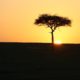 Ultimate Travel Bucket List: Masai Mara