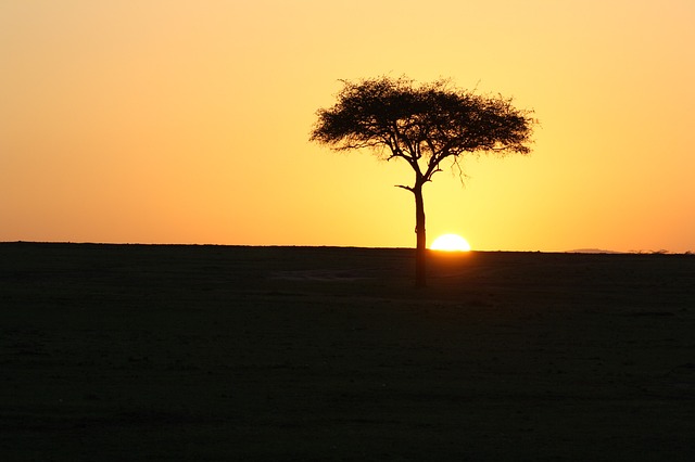 Ultimate Travel Bucket List: Masai Mara